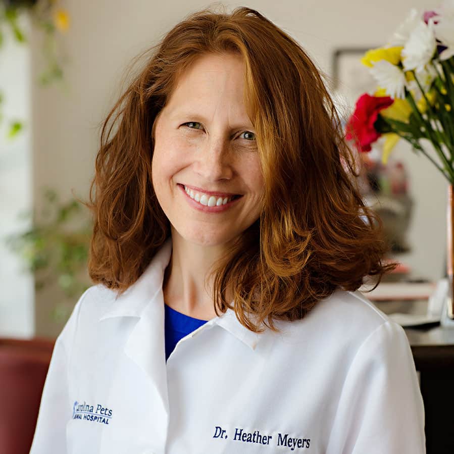 Dr. Heather Meyers