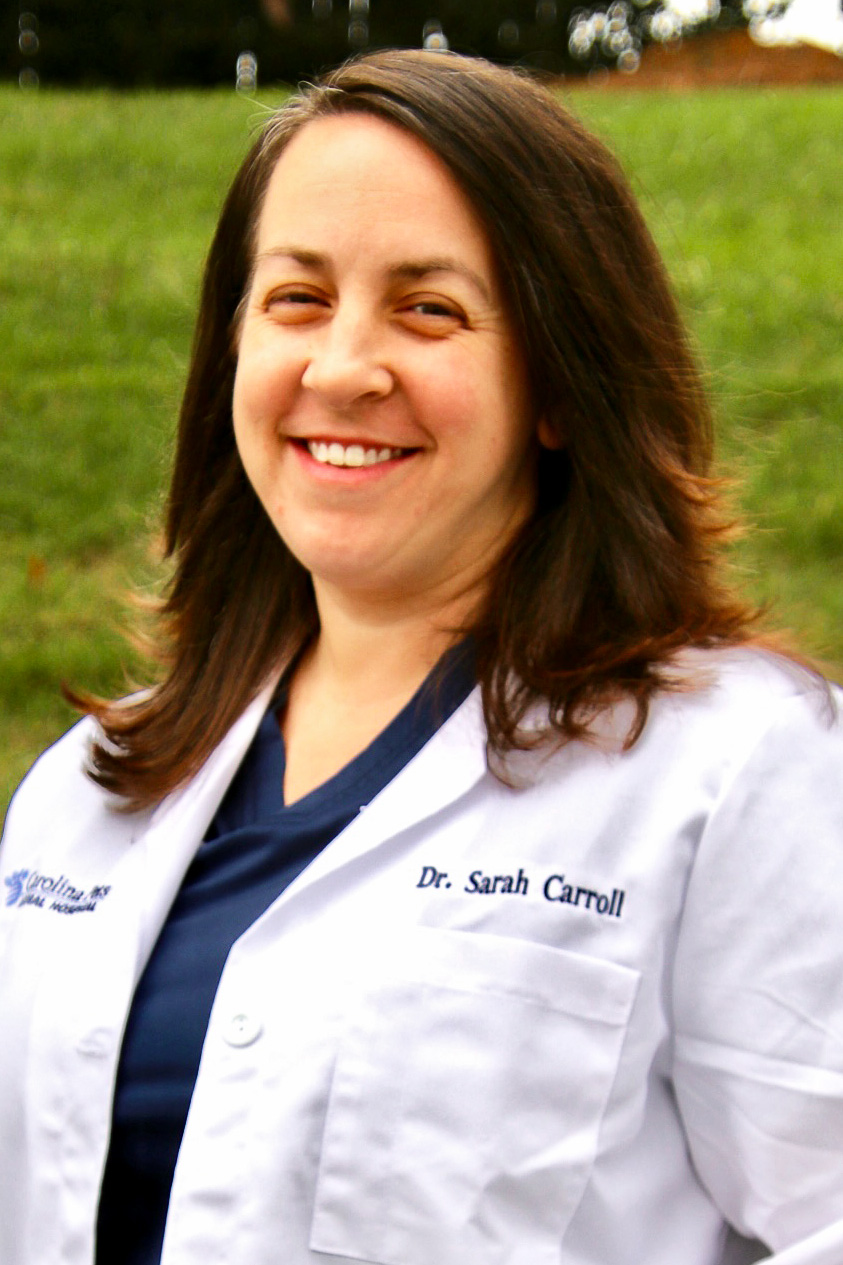 Dr. Sarah Carroll